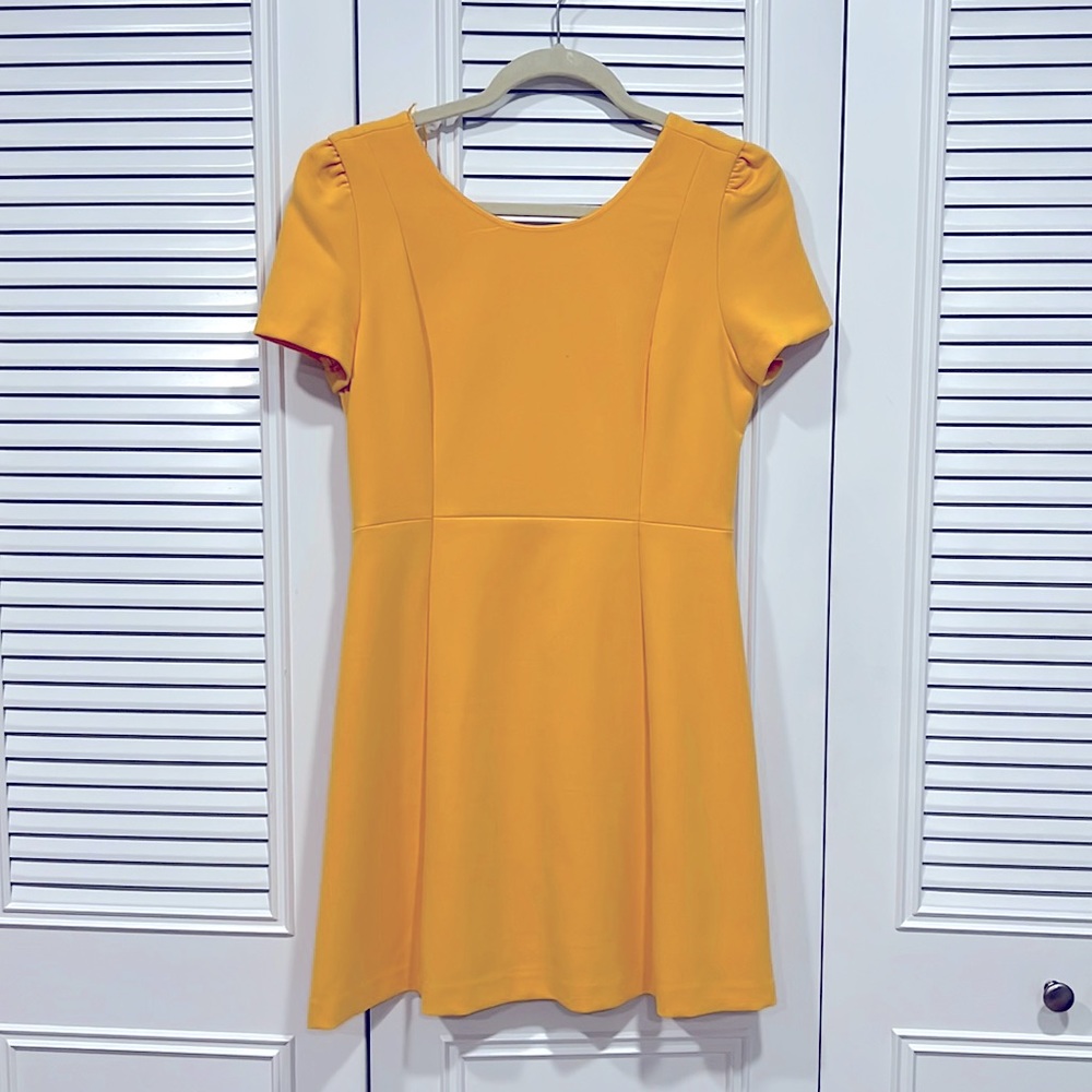Zara Trafaluc short sleeve dress